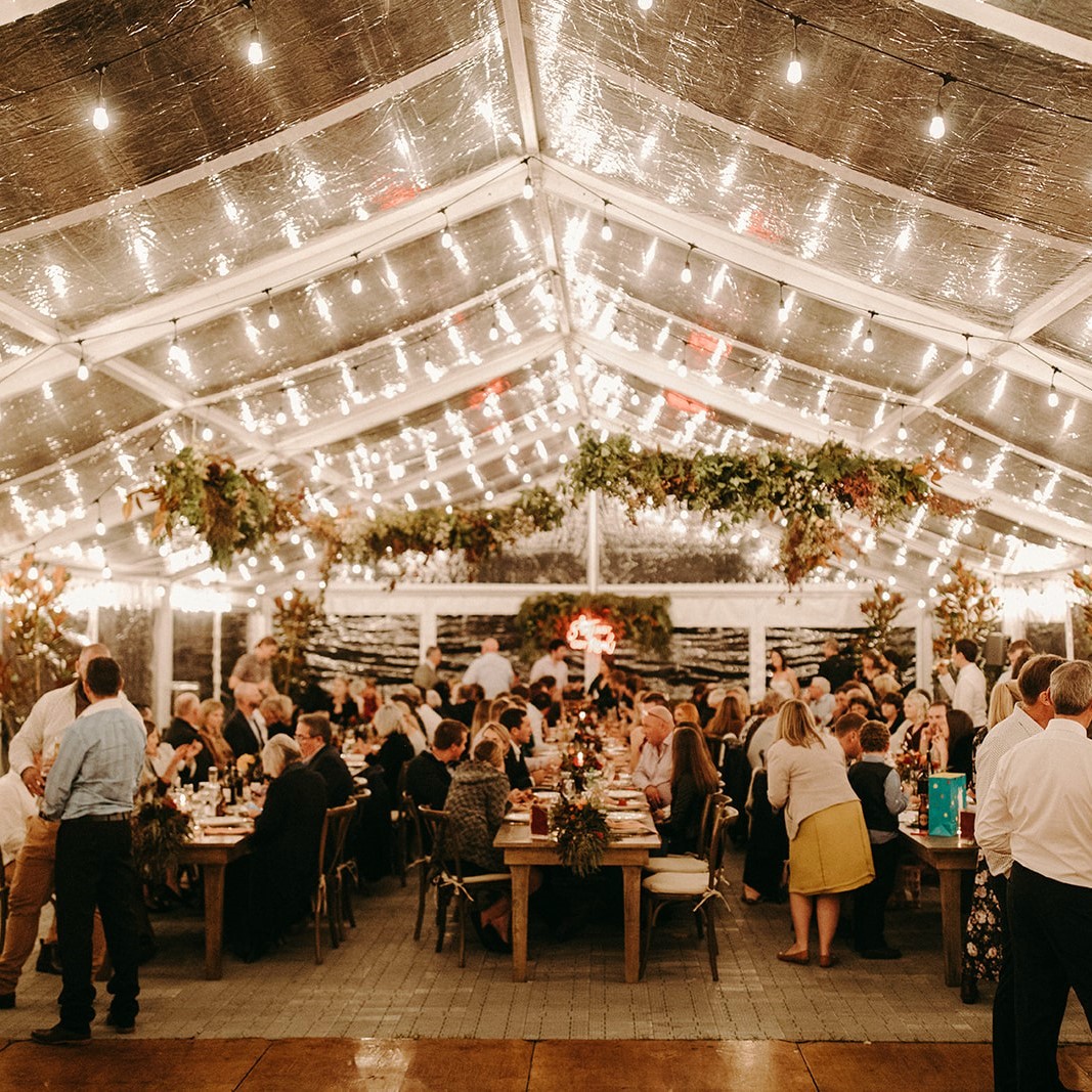 Festoon Light Hire Party Lights Christchurch